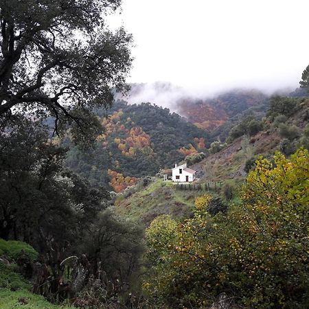 La Casa De La Era Villa Algatocin Bagian luar foto