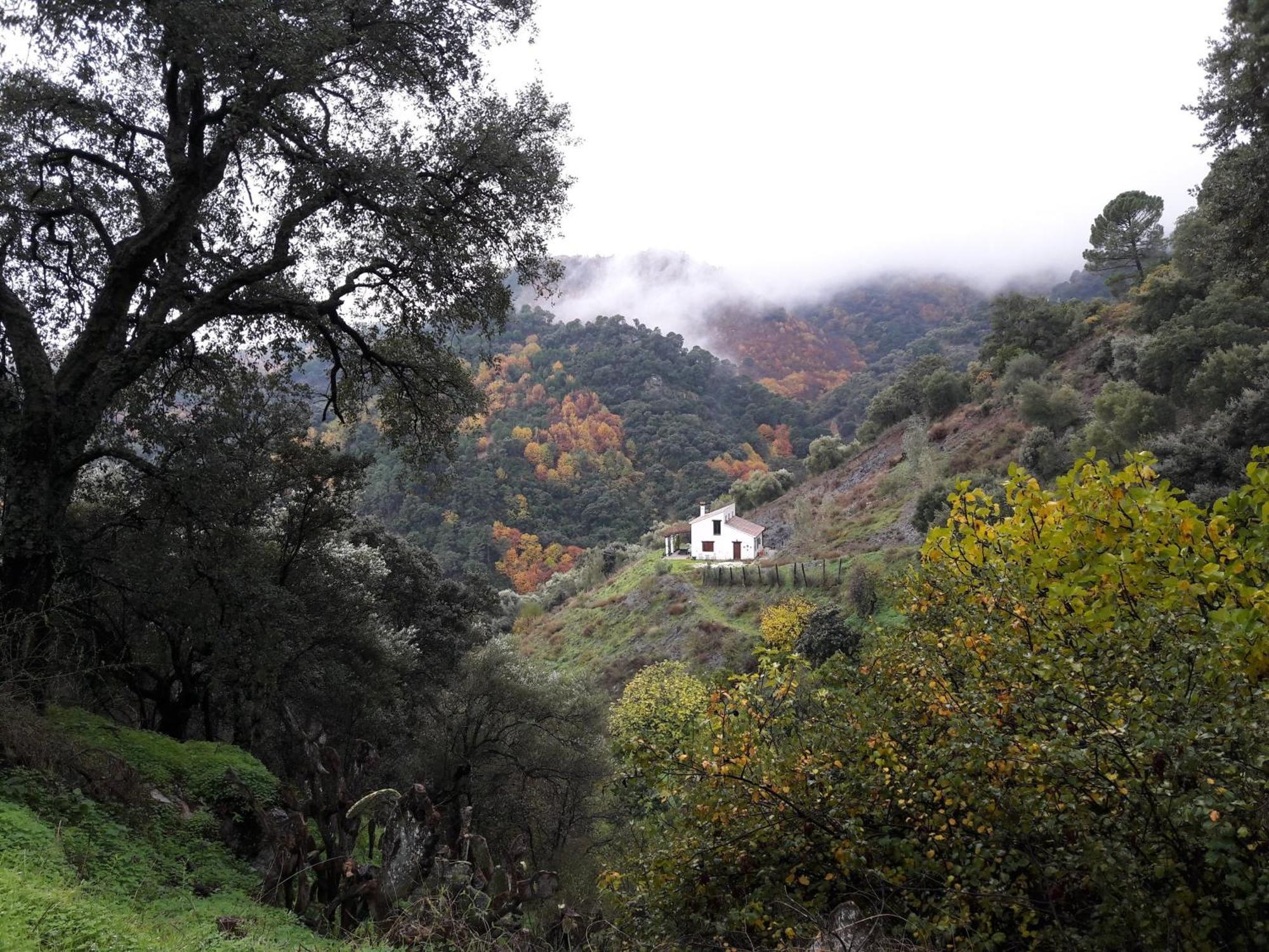 La Casa De La Era Villa Algatocin Bagian luar foto